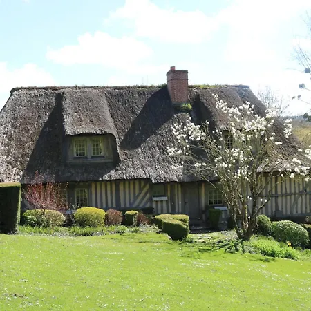 Haras De La Valterie Nyaraló *