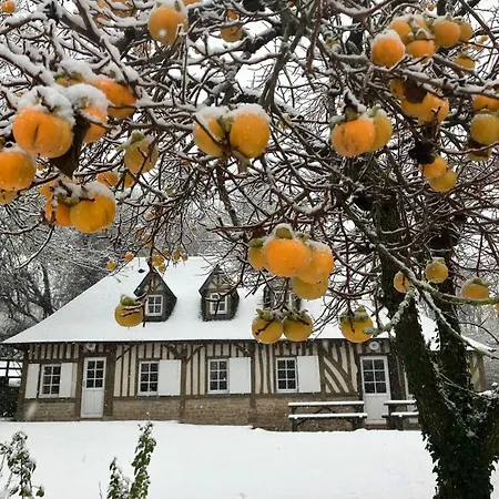 Haras De La Valterie * Saint-Hymer