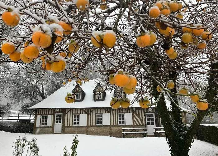 Haras De La Valterie * Saint-Hymer