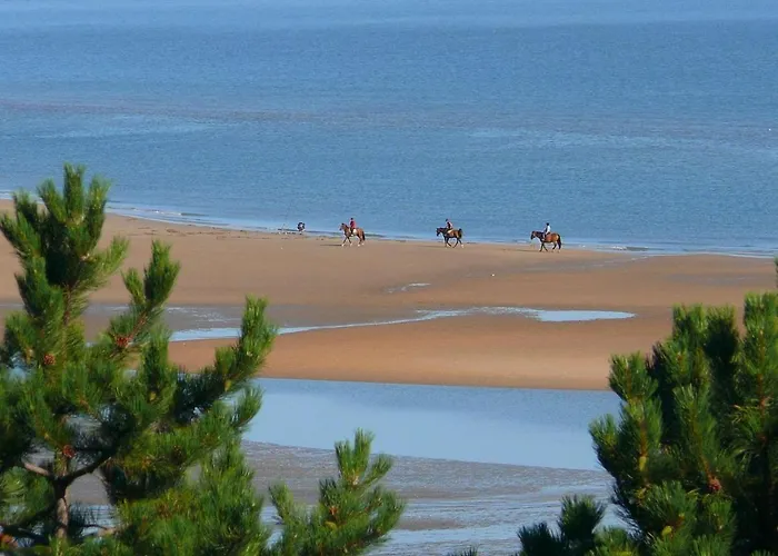 Haras De La Valterie